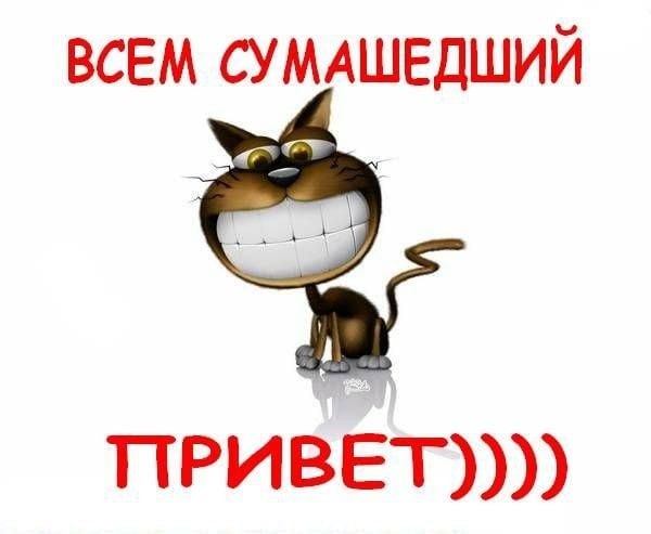 ВСЕМ СУМАШЕДШИЙ ПРИВЕТ))))