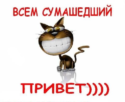 ВСЕМ СУМАШЕДШИЙ ПРИВЕТ))))