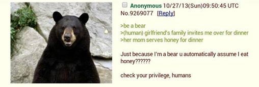 Anonymous 10/27/13(Sun)09:50:45 UTC No.9269077 [Веру] Just because a bear automatically assume eat check your privilege, humans