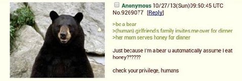 Anonymous 10/27/13(Sun)09:50:45 UTC No.9269077 [Веру] Just because a bear automatically assume eat check your privilege, humans