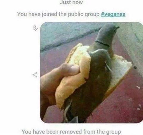Just now You have joined the public group #veganss You have been removed from the group