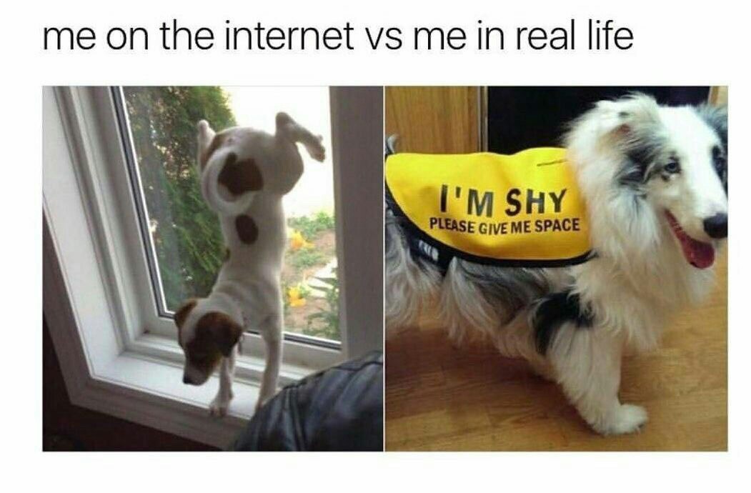 me the internet me in real life 4 7