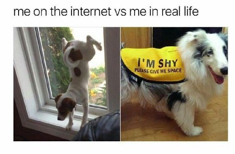 me the internet me in real life 4 7