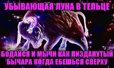 4 УБЫВАЮЩАЯ`ЛУНА В ТЕЛЬЦЕ: БОДАЙСЯ И МЫЧИ КАК ПИЗДАНУТЫЙ БОДАЙСЯ И МЫЧИ НАК ПИЗДАНУТ `БЫЧАРА КОГДА ЕБЕШЬСЯ СВЕРХУ
