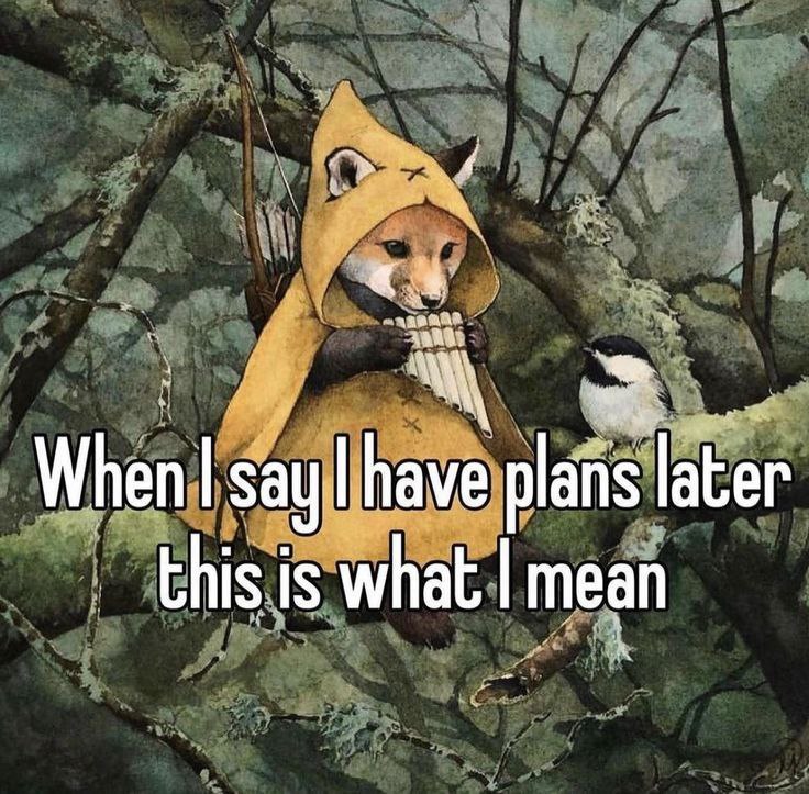 When say have plans later this is what mean
