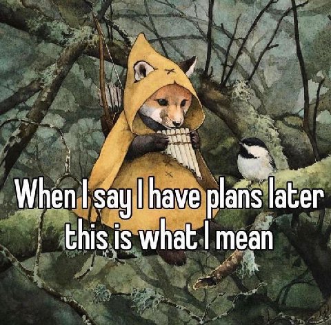 When say have plans later this is what mean