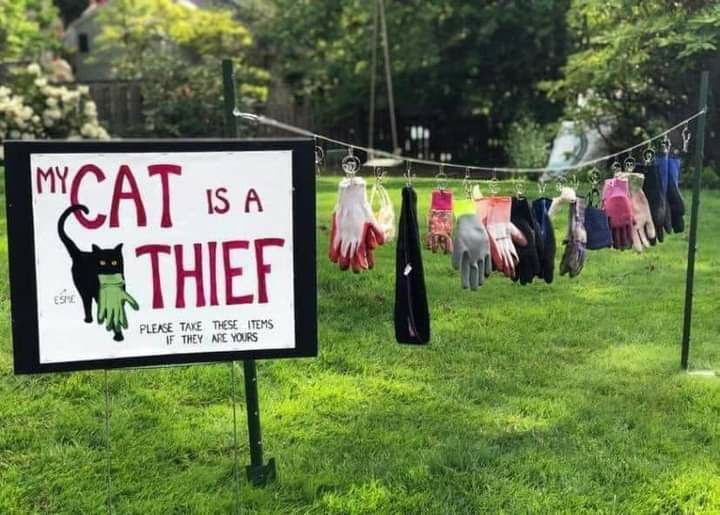 ate bee NCAT THIEF PLEASE THESE ITEMS THEY к
