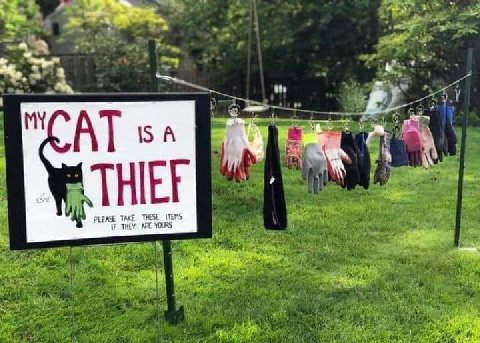 ate bee NCAT THIEF PLEASE THESE ITEMS THEY к