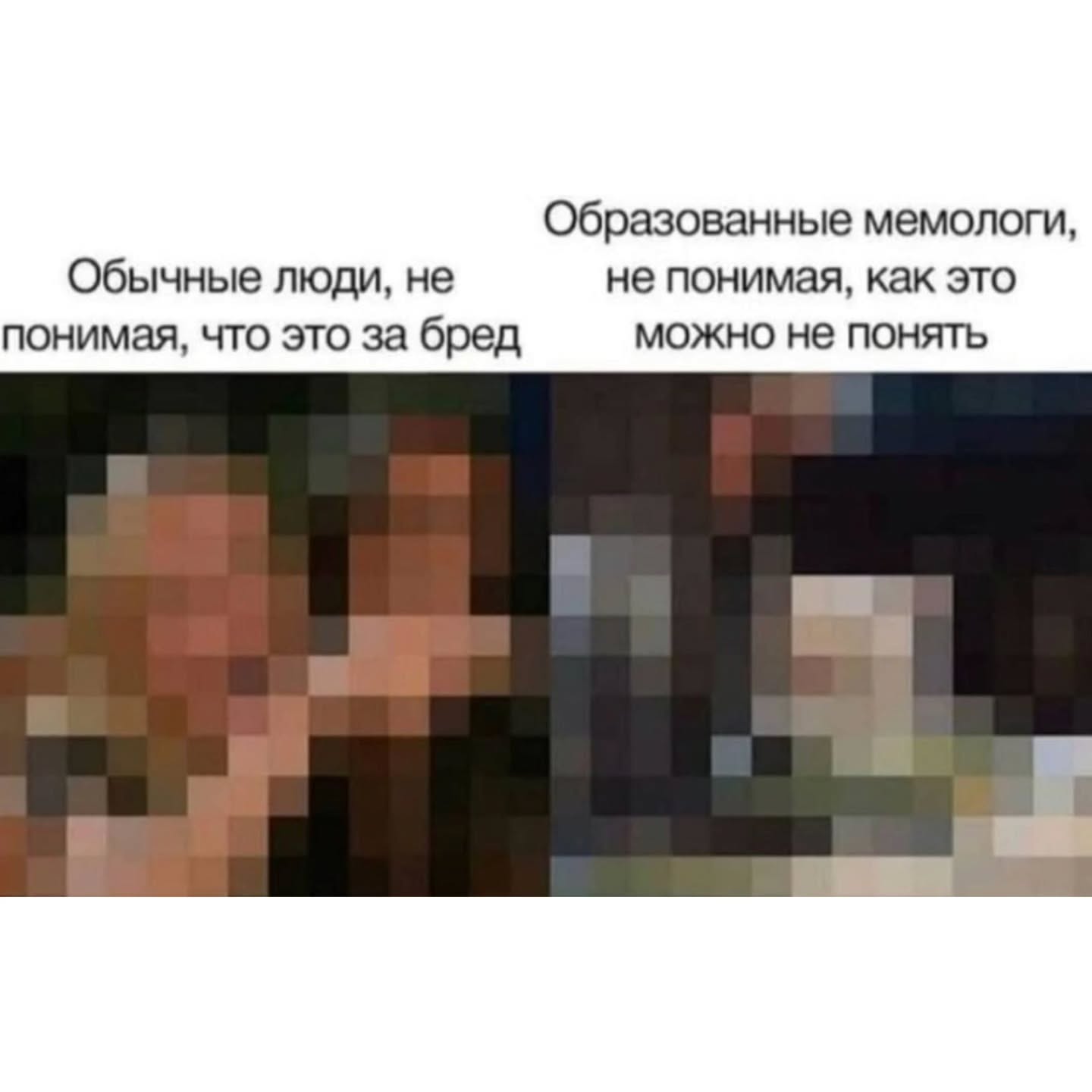 Образованные мемологи, Обычные люди, не не понимая, как это понимая, что это за бред можно не понять a