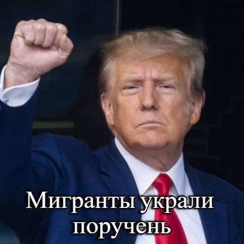 Мигранты украли поручень