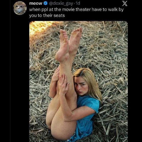 meow when ppl at the movie theater have to walk you to their seats 4: у 1