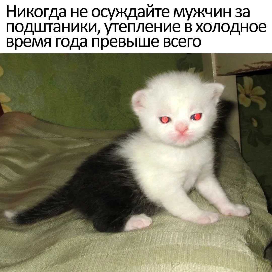Никогда не осуждайте мужчин за подштаники, утепление в холодное время года превыше всего