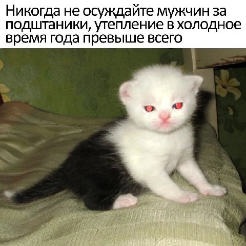 Никогда не осуждайте мужчин за подштаники, утепление в холодное время года превыше всего