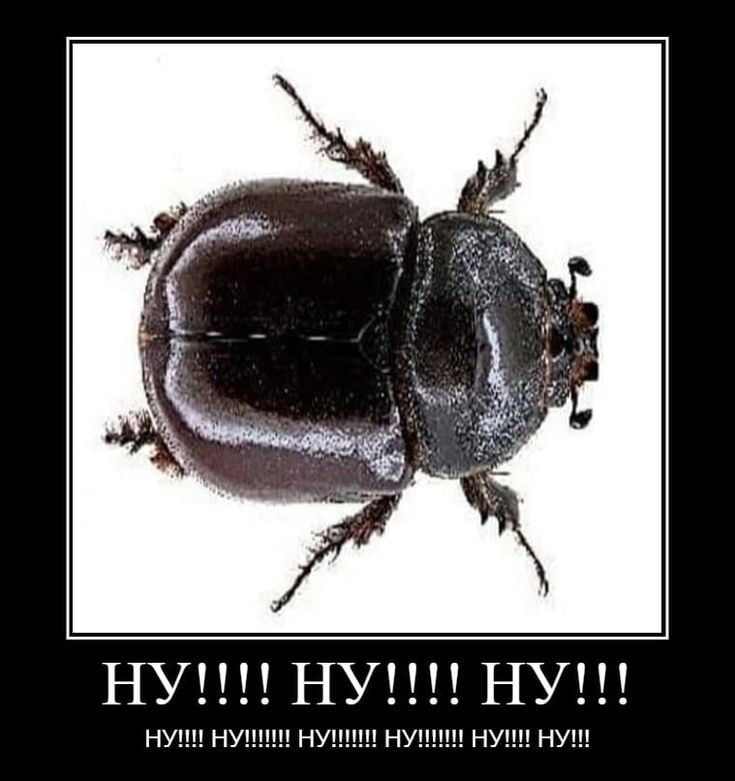 if НУ!!!! НУНИНЕ НУНИ