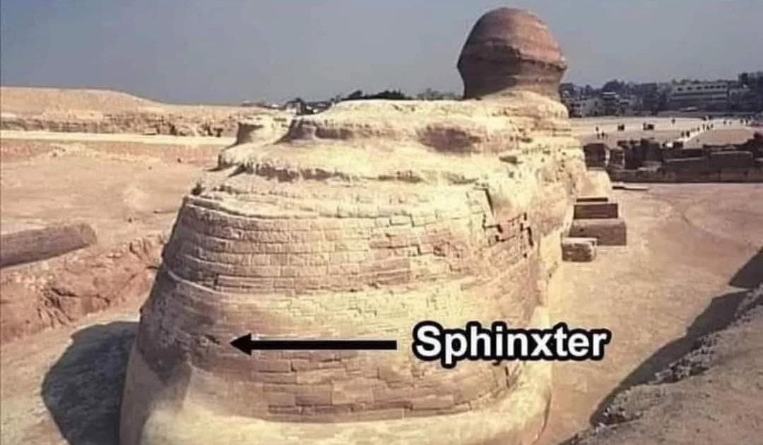 и у 4 4 6 ade’ 7 7 phinxter с