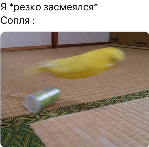 Я *резко засмеялся* Сопля: