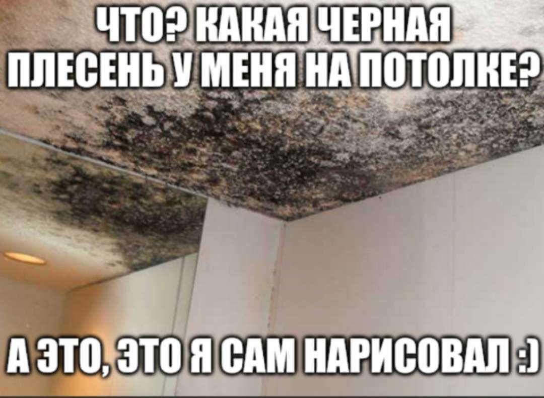 КАКАЯ ЧЕРНАЯ ПЛЕСЕНЬ У МЕНЯ А ЭТО, ЭТО Я САМ НАРИСОВАЛ