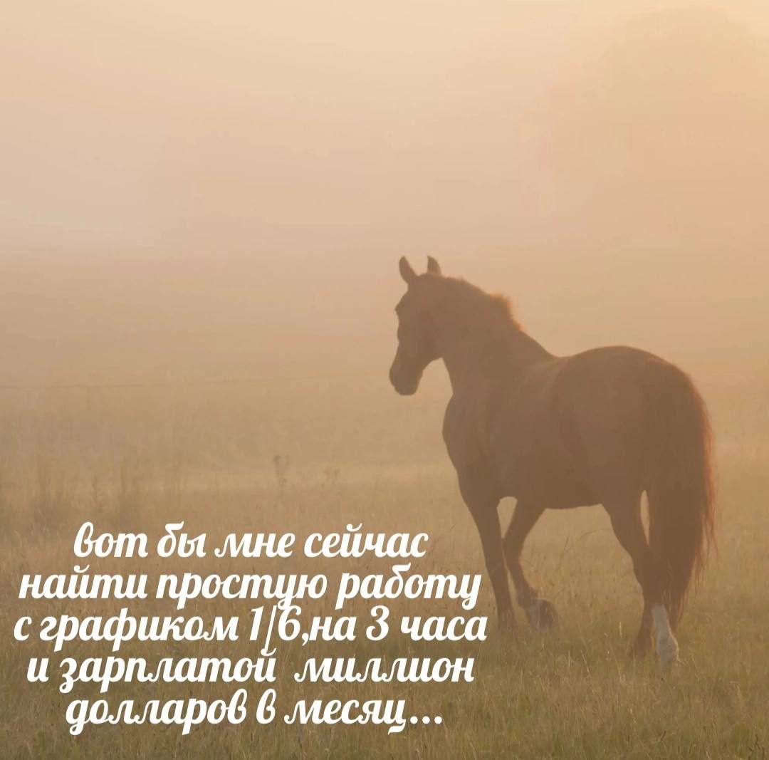 вот бы лане сейчас найти на 3 и зарплатой лшллион долларов 6 месяц...