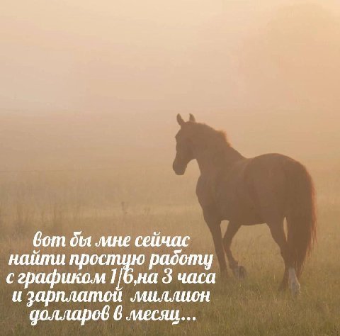 вот бы лане сейчас найти на 3 и зарплатой лшллион долларов 6 месяц...