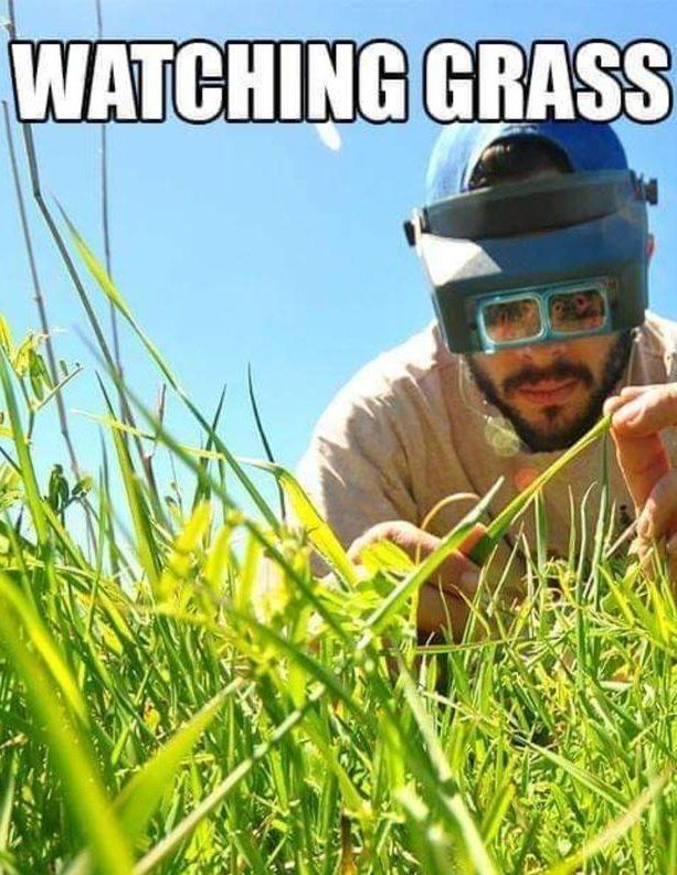 GRASS у