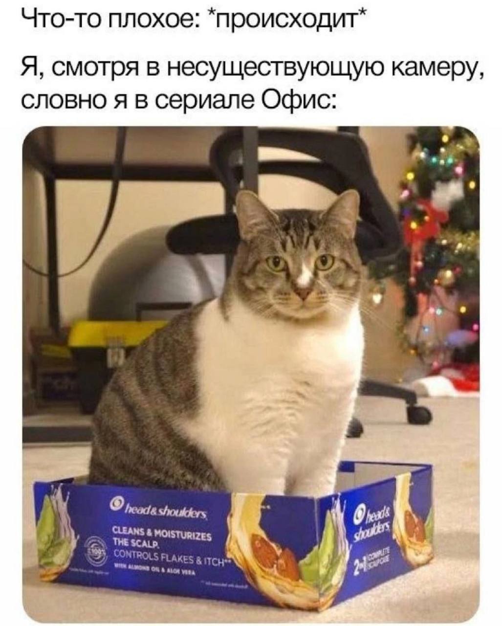 Что-то плохое происходит Я, смотря в несуществующую камеру, словно я в сериале Офис Shoulders