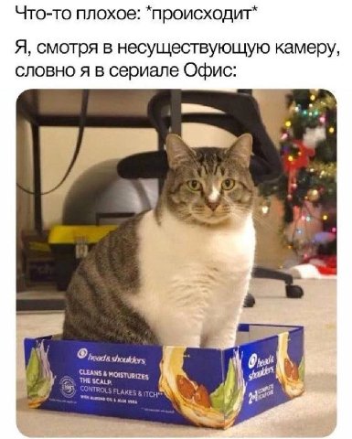 Что-то плохое происходит Я, смотря в несуществующую камеру, словно я в сериале Офис Shoulders