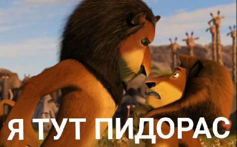 Я ТУТ ПИДОРАС
