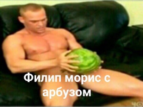 филип морис с арбузом