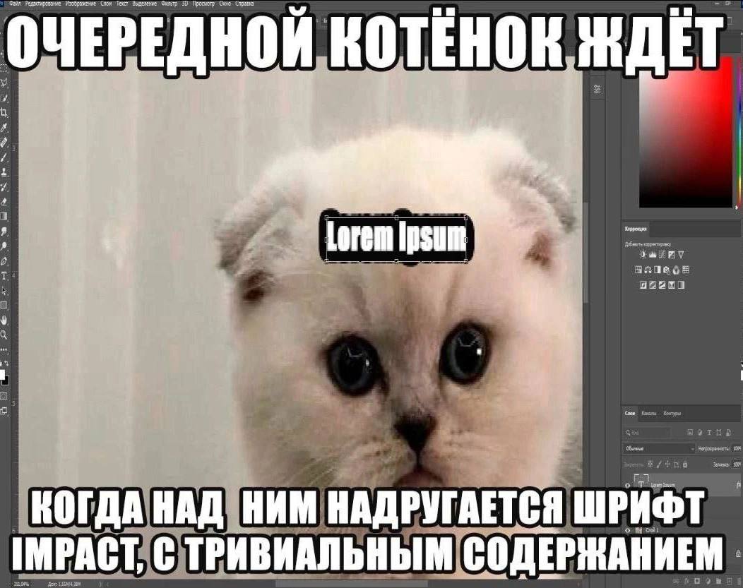 Файл Изображение Text Фильтр 50 Справка Lorem Ipsum о КОГДА НАД НИМ НАДРУГАЕТСЯ ШРИФТ IMPACT: СТРИВИАЛЬНЫМ (СОДЕРЖАНИЕМ