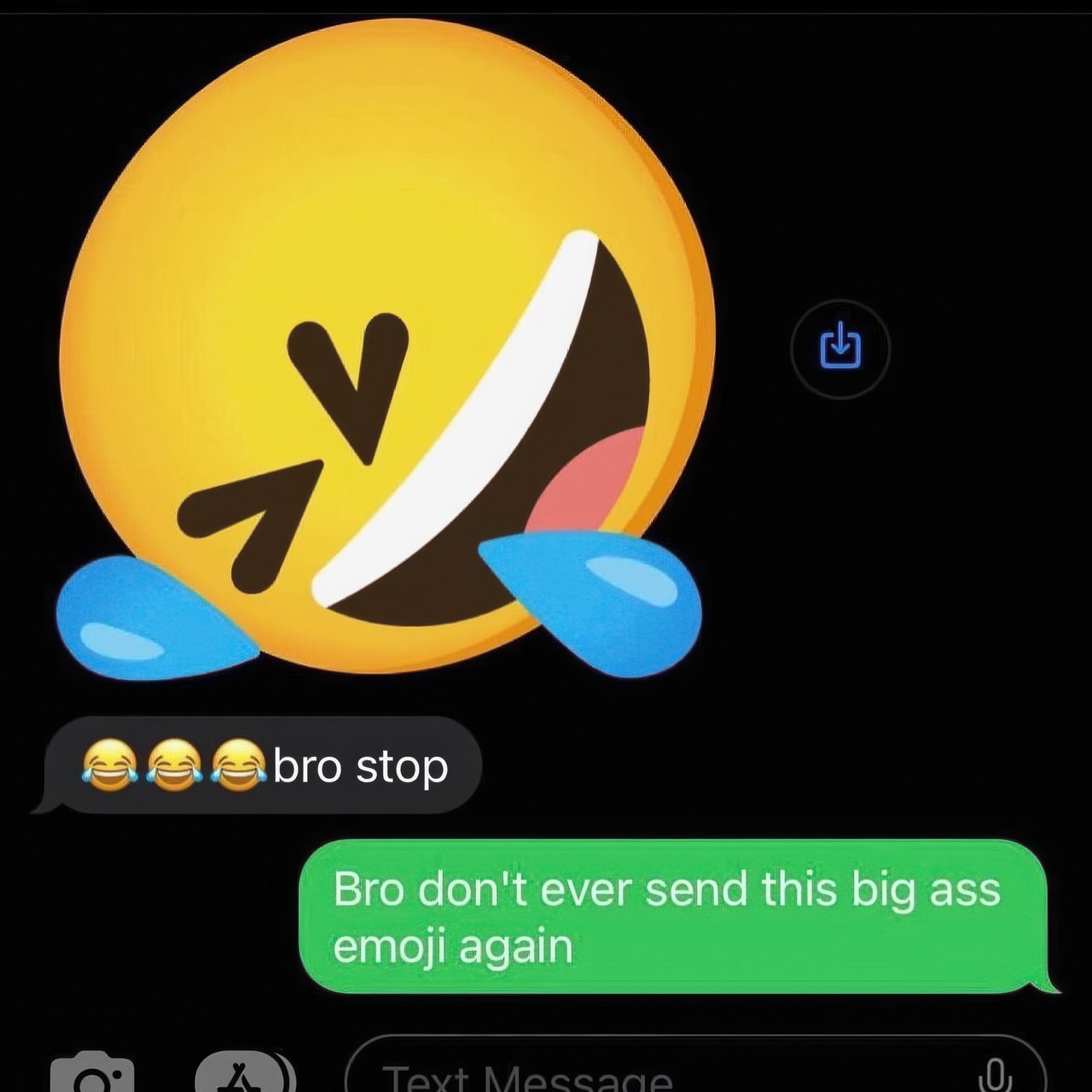 bro stop Bro don't ever send this big ass emoji again
