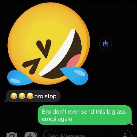 bro stop Bro don't ever send this big ass emoji again