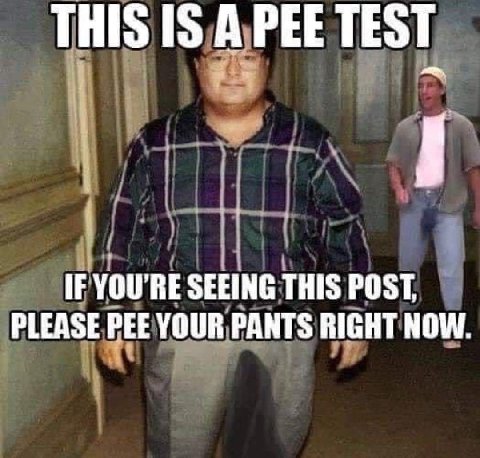 THIS IS А PEE TEST IF YOU'RE SEEING THIS POST PLEASE PEE YOUR PANTS RIGHT NOW.