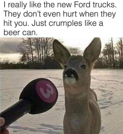 really like the new Ford trucks They don’t even hurt when they hit you. Just crumples like a beer can.