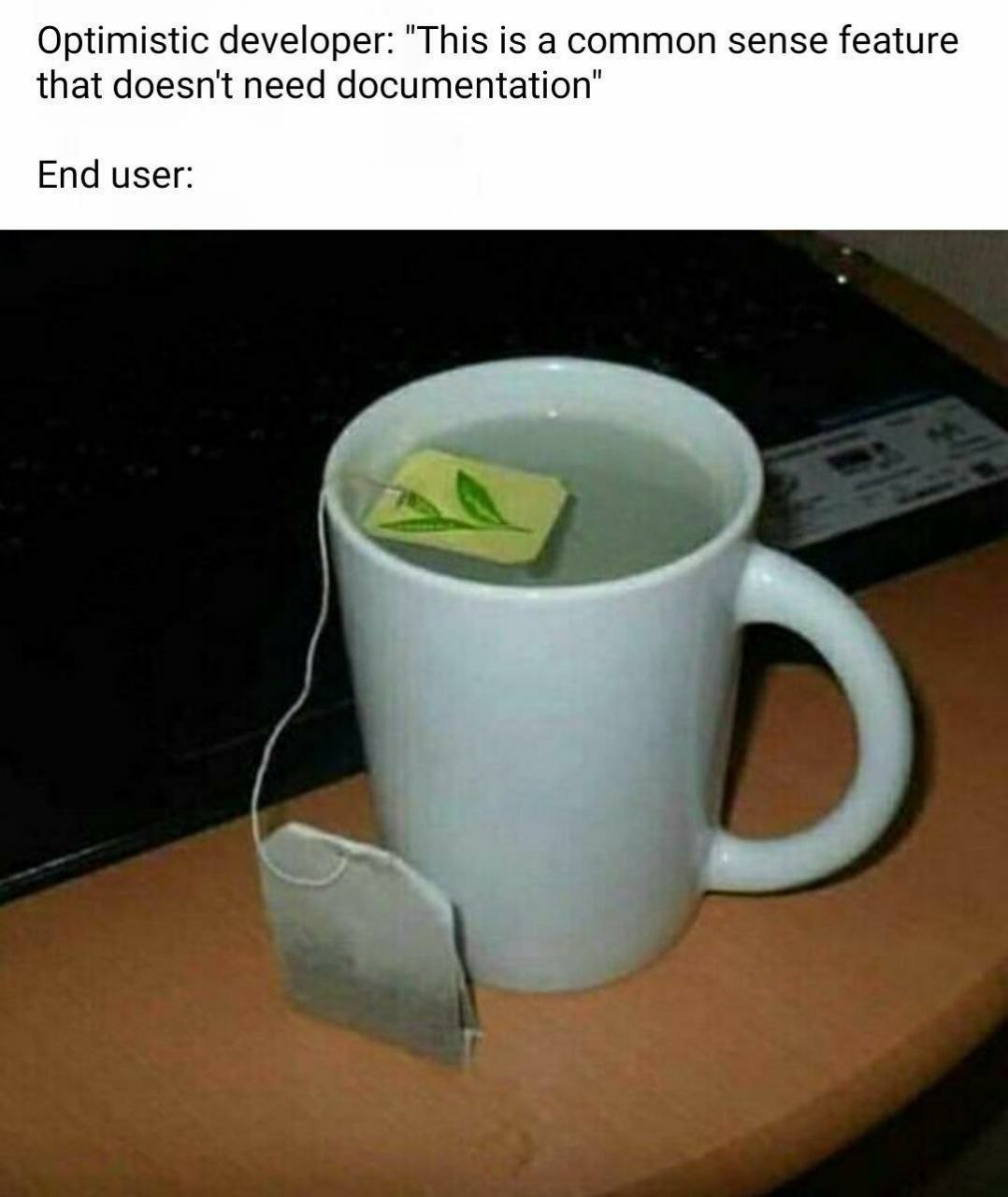 Optimistic developer: "This is а соттоп sense feature that doesn't need documentation" End user: