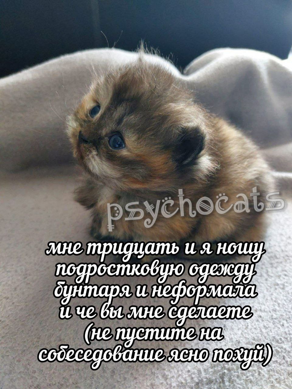 мне тридцать и я и неформала и че вы мне (не пустите собеседование ясно