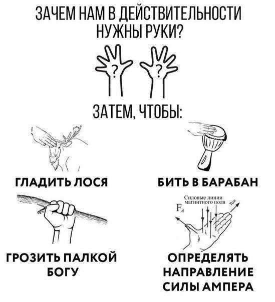 ЗАЧЕМ HAM В ДЕЙСТВИТЕЛЬНОСТИ НУЖНЫ РУКИ? ЗАТЕМ, ЧТОБЫ: ГЛАДИТЬ ЛОСЯ БИТЬ В БАРАБАН ГРОЗИТЬ ПАЛКОЙ ОПРЕДЕЛЯТЬ БОГУ НАПРАВЛЕНИЕ СИЛЫ АМПЕРА
