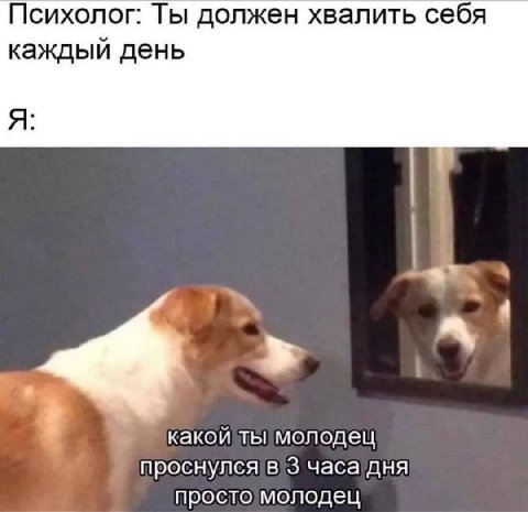 Психолог: Ты должен хвалить себя каждый день Я: ты молодец проснулся