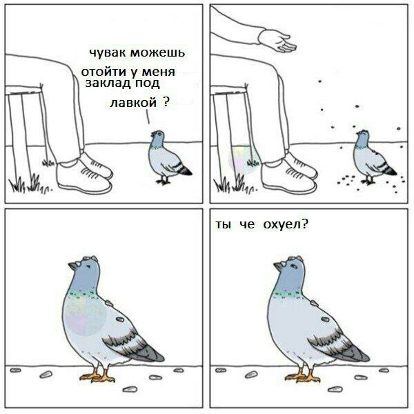 чувак можешь отойти у меня заклад под лавкой ты че охуел?