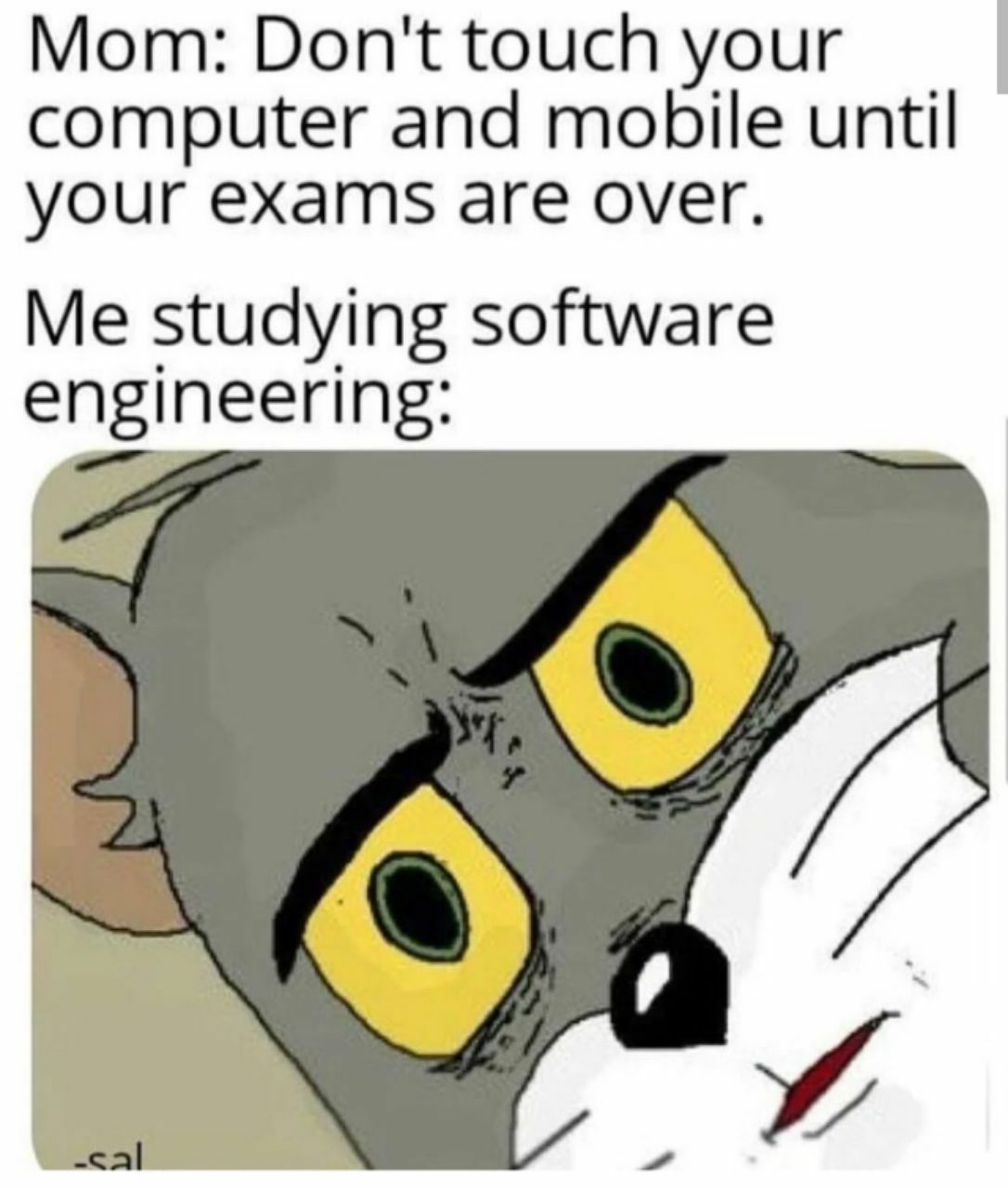 Mom: Don't touch your computer and mobile until your exams are over. Me studying software engineering: cal
