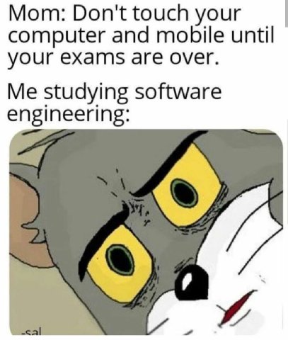 Mom: Don't touch your computer and mobile until your exams are over. Me studying software engineering: cal