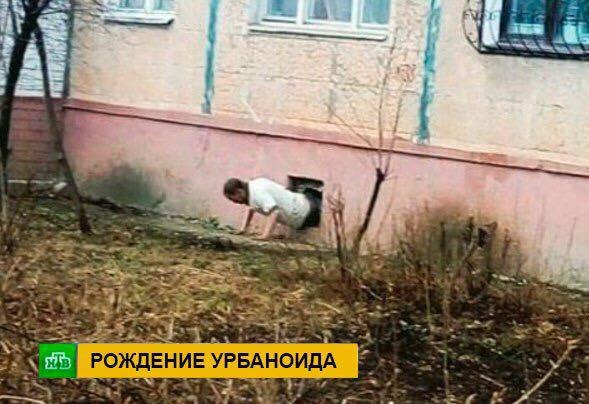 у A wat 20% я у а 5% РОЖДЕНИЕ УРБАНОИДА 2 в