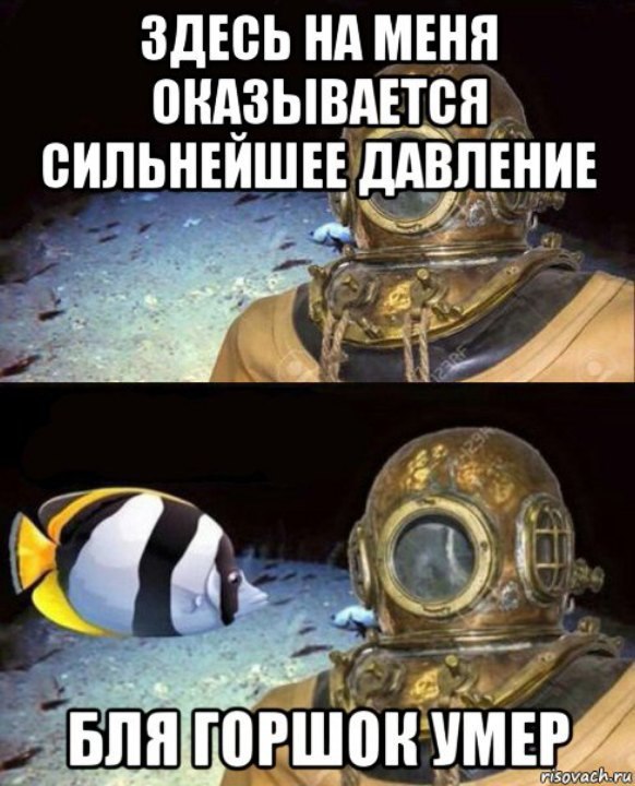 ЗДЕСЬ НА МЕНЯ ОКАЗЫВАЕТСЯ СИЛЬНЕЙШЕЕ ДАВЛЕНИЕ “4 trv oN БЛЯ ГОРШОК"