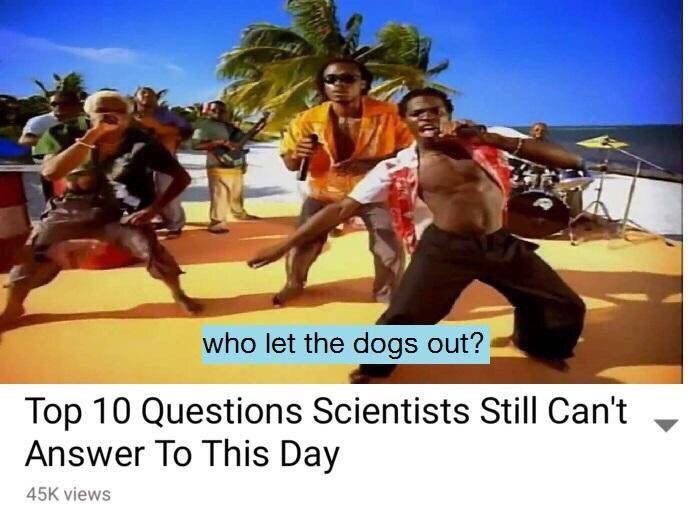 А who let the dogs out? Top 10 Questions Scientists Still Cant Answer To This Day views