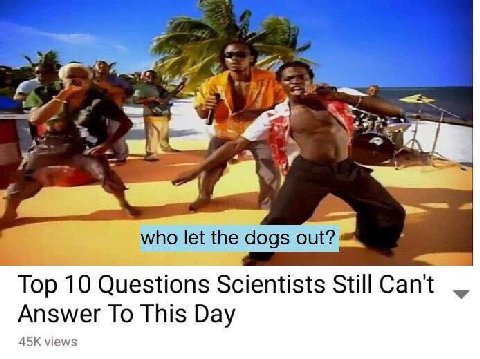 А who let the dogs out? Top 10 Questions Scientists Still Cant Answer To This Day views
