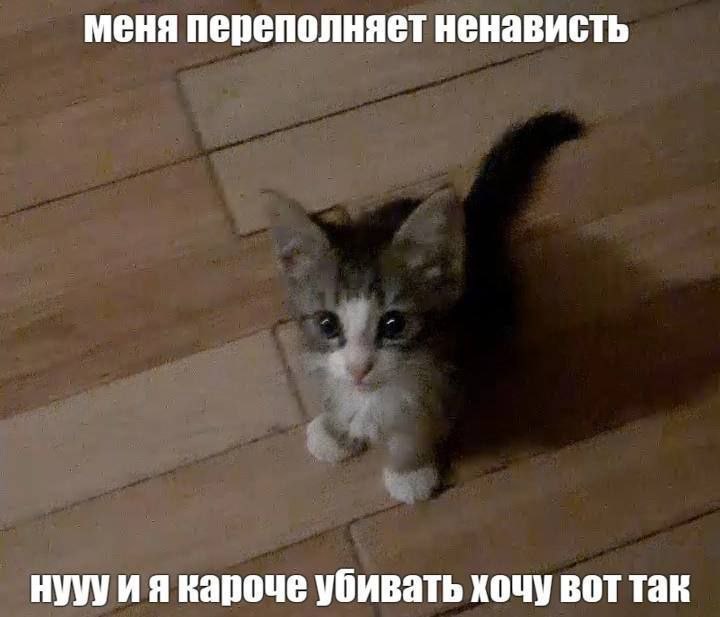 меня переполняет ненависть нуууия кароче убивать хочу вот так