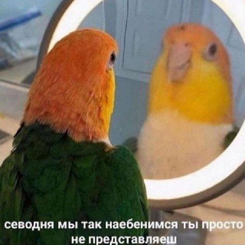 севодня мы так наебенимся ты просто не представляеш