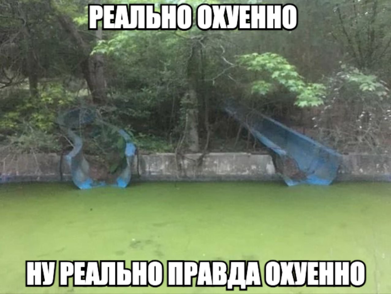 РЕАЛЬНО ОХУЕННО НУРЕАЛЬНО ПРАВДА ОХУЕННО