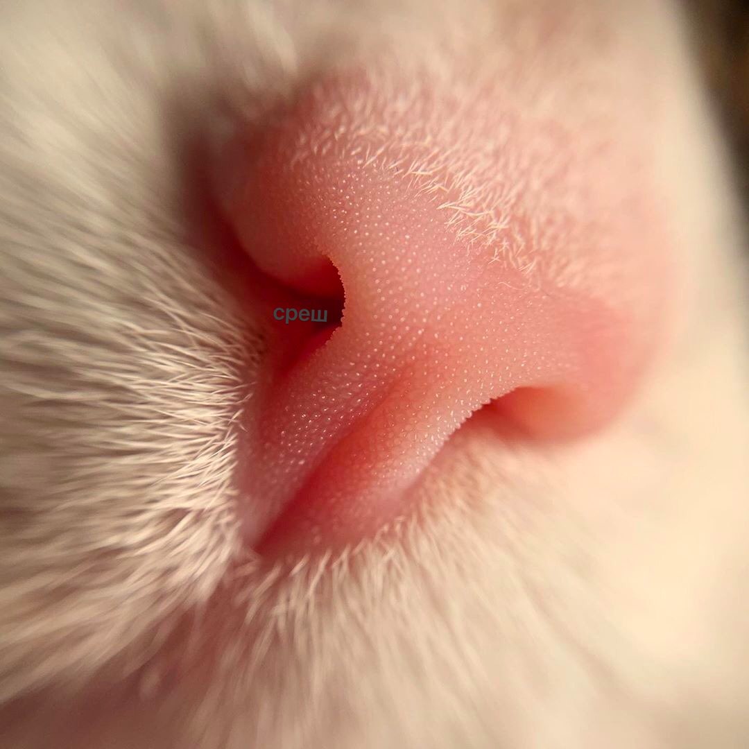 у 7