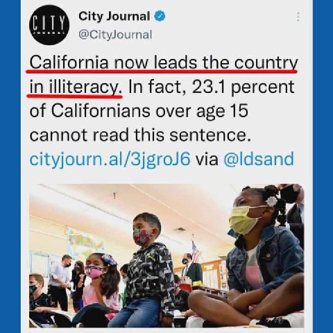 City Journal @CityJournal alifornia now leads the countr in illiteracy. In fact, 23.1 percent of Californians over age 15 cannot read this sentence. cityjourn.al/3jgroJ6 @ldsand к i в