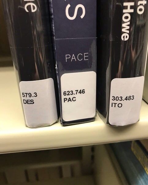 то РАСЕ 579.3 623.746 PAC 303.483 DES ITO
